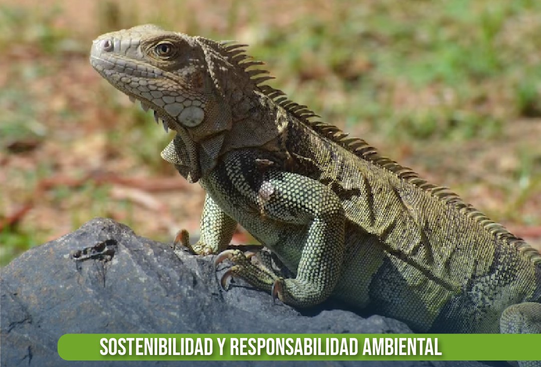 Ecosistema Sostenible